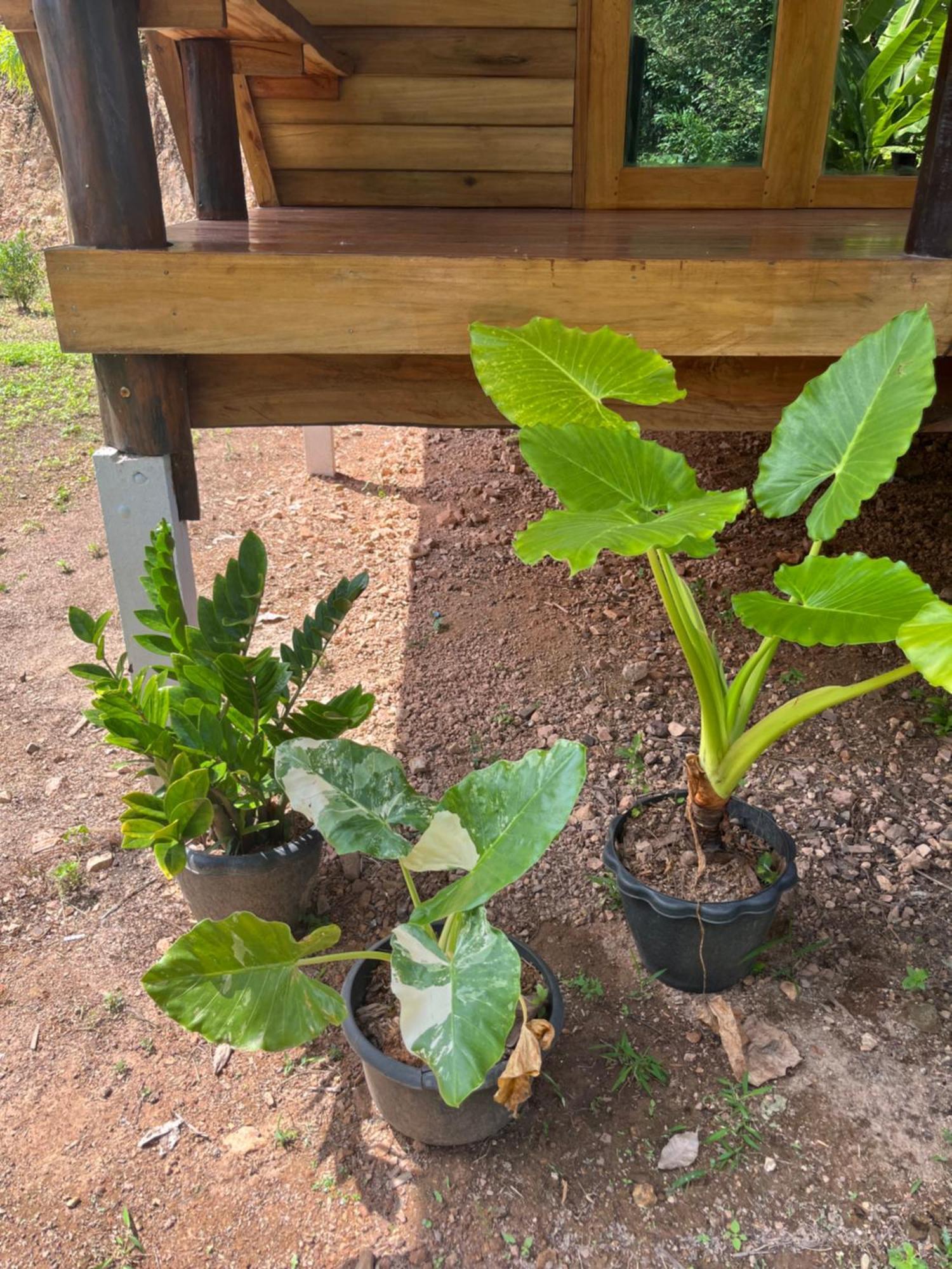 Koh Jum Home Stay Ngoại thất bức ảnh